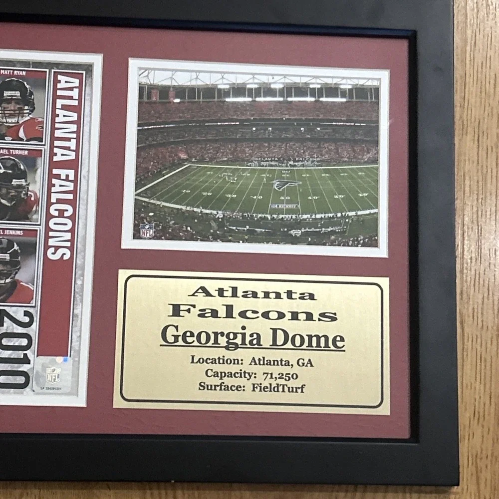 Vtg Atlanta Falcons  NFC 2010 Georgia Dome Field Turf Framed Wall Hanging Plaque